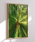 Quadro Folhagens 01 - loja online