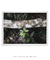 Quadro Folhagens 02 - Galeria Fernanda Marcondes | Quadros Decorativos
