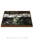 Quadro Folhagens 02 - Galeria Fernanda Marcondes | Quadros Decorativos