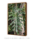 Quadro Imbé 04 - Galeria Fernanda Marcondes | Quadros Decorativos