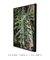 Quadro Imbé 04