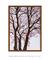 Quadro Ipê Rosa 04 - comprar online