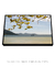 Quadro Decorativo Lagoa da Conceição 07 na internet