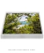 Quadro Decorativo Lagoinha do Leste 06 - loja online