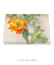 Quadro Orquídeas 02 - loja online