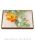 Quadro Orquídeas 02