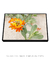 Quadro Orquídeas 02 - loja online