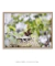 Imagem do Quadro Orquídeas 03
