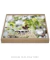 Quadro Orquídeas 03