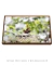 Quadro Orquídeas 03