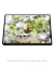 Quadro Orquídeas 03 - loja online