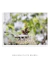 Quadro Orquídeas 03