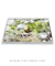 Quadro Orquídeas 03 - comprar online