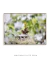 Quadro Orquídeas 03 na internet