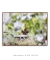 Imagem do Quadro Orquídeas 03