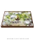Quadro Orquídeas 03