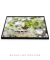 Quadro Orquídeas 03
