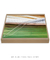 Quadro Decorativo Palmeiras 04