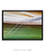 Quadro Decorativo Palmeiras 04 - loja online