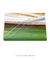 Quadro Decorativo Palmeiras 04