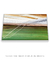 Quadro Decorativo Palmeiras 04 - comprar online