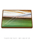 Quadro Decorativo Palmeiras 04 - Galeria Fernanda Marcondes | Quadros Decorativos