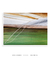 Imagem do Quadro Decorativo Palmeiras 04