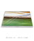 Quadro Decorativo Palmeiras 04