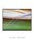 Imagem do Quadro Decorativo Palmeiras 04