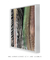 Quadro Decorativo Palmeiras 05 - loja online
