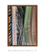 Quadro Decorativo Palmeiras 05 - comprar online