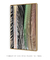 Quadro Decorativo Palmeiras 05 - comprar online