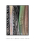 Quadro Decorativo Palmeiras 05 - loja online