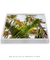 Quadro Decorativo Palmeiras 07 - loja online