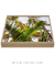 Quadro Decorativo Palmeiras 07