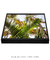 Quadro Decorativo Palmeiras 07 - loja online