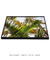 Quadro Decorativo Palmeiras 07 - loja online