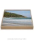 Quadro Decorativo Pântano do Sul 11
