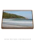 Quadro Decorativo Pântano do Sul 11 - comprar online