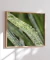 Quadro Decorativo Pingos de Chuva 01 na internet