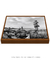 Quadro Praia da Armação 12 PB na internet