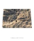Quadro Floripa - Praia da Daniela 04 - loja online