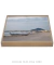Quadro Decorativo Praia dos Ingleses 15