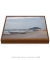 Quadro Decorativo Praia dos Ingleses 15 na internet