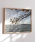 Quadro Floripa - Ribeirão da Ilha 05 - Galeria Fernanda Marcondes | Quadros Decorativos