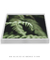 Quadro Samambaia 04 - loja online