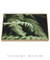 Quadro Samambaia 04 - comprar online