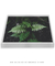 Quadro Samambaia 05 - loja online