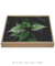Quadro Samambaia 05