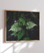 Quadro Samambaia 05 - loja online